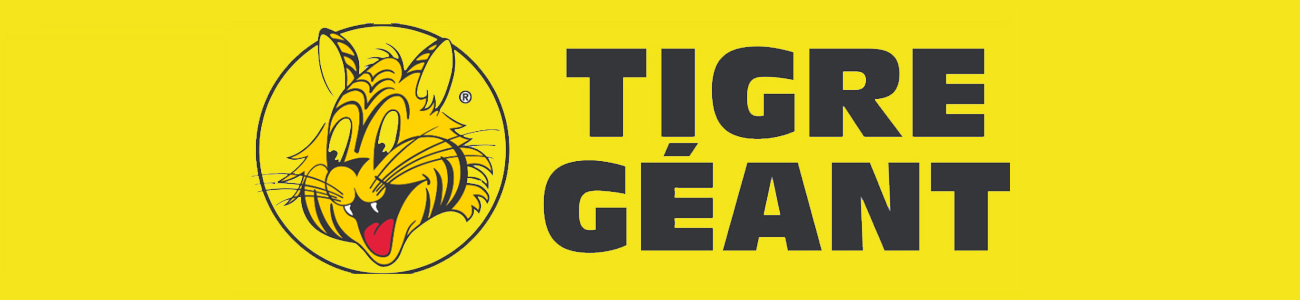 Tigre Geant Weekly Flyers